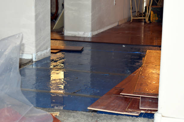 Professional Sewage Cleanup technician working in Albany, MO